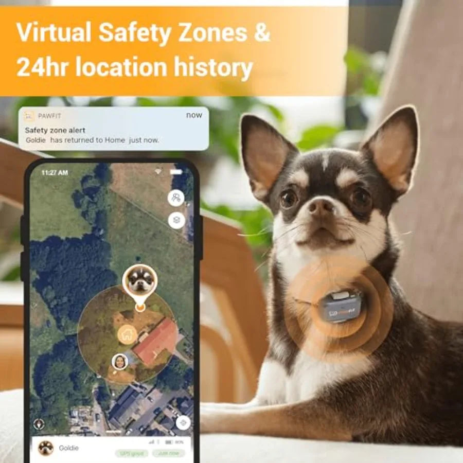 4G GPS Tracker for Small Dogs - Real-Time Tracking with Activity Monitoring (Onyx Black)