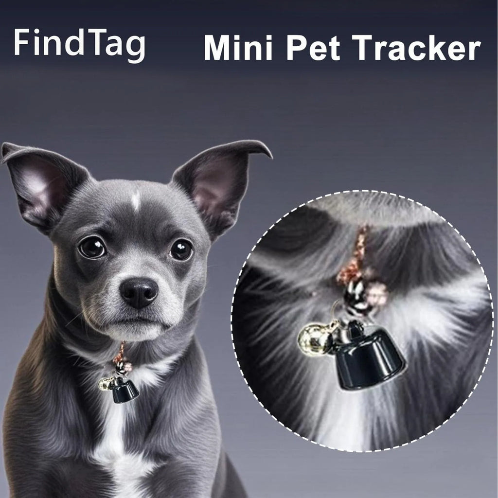 Waterproof Real-Time GPS Tracker for Dogs, Cats & Pet Birds - Global Positioning