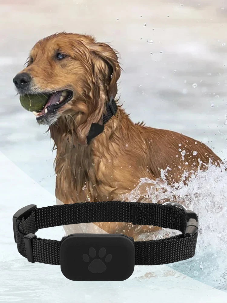 Long-Range GPS Tracker for Dogs & Cats with Adjustable Collar - Smart Remote