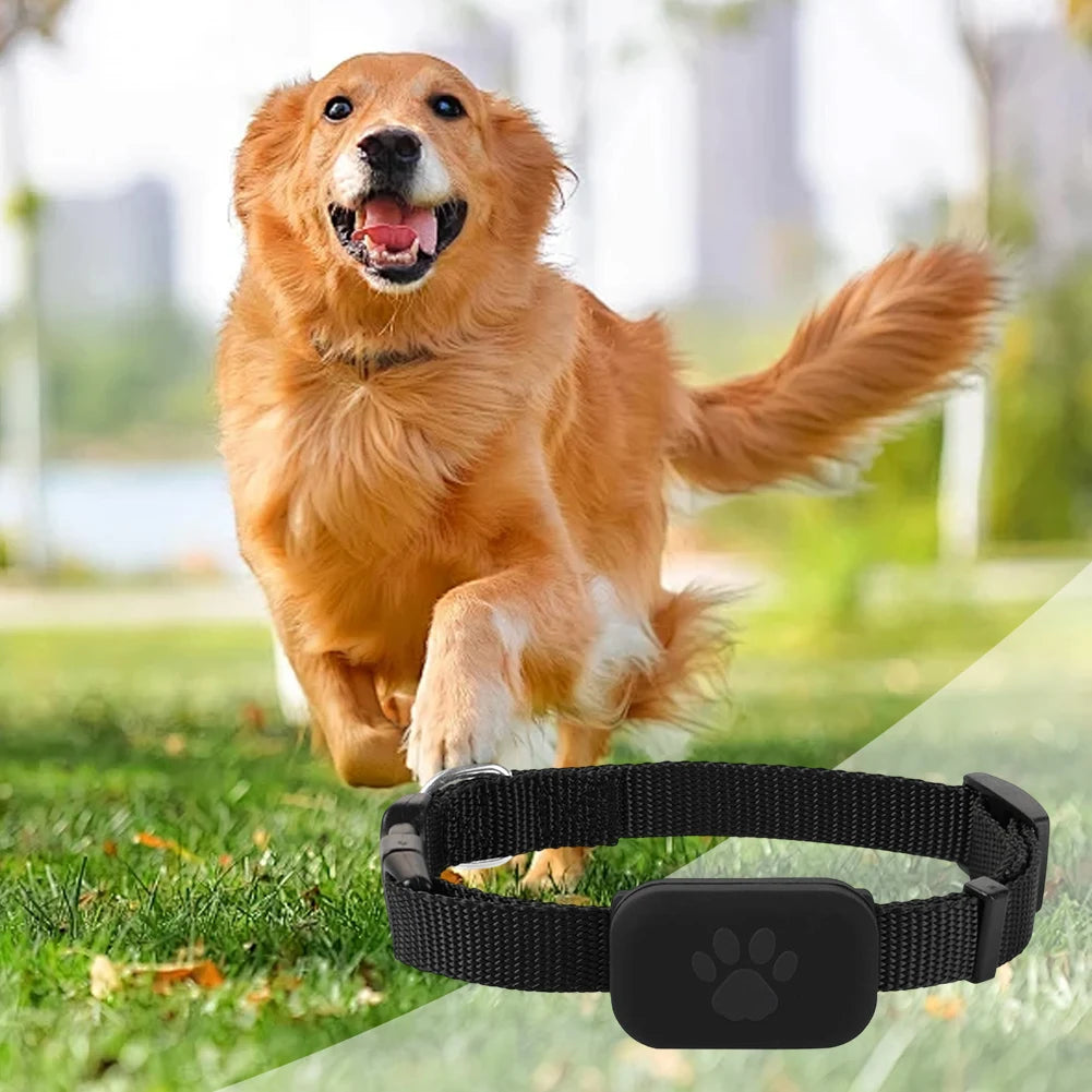 Reliable GPS Pet Tracker with Adjustable Collar - Real-Time Cat & Dog Locator