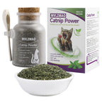 Organic Catnip Blend in Glass Jar (100ml)