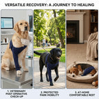 Dog Leg Protector Sleeve (Soft Fabric, Breathable, Washable, S to XXL)