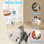 USB Rechargeable Hanging Door Cat Toy