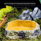 Resin Reptile Feeding & Water Bowl — Terrarium Dish for Reptiles & Amphibians