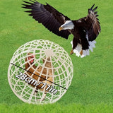 Spherical Rolling Ball Cage — Safe Exercise & Transport Ball for Small Pets