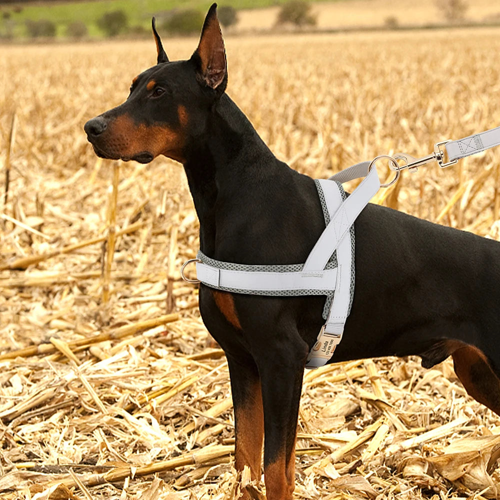 Personalized Engraved Dog Harness