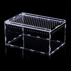 Clear Acrylic Reptile Terrarium — Ventilated Anti-Escape Habitat