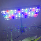 USB Full Spectrum Aquarium LED Clip Light (8W, Dimmable, 360° Rotatable)