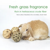 Natural Woven Grass Balls — 5-Pack Chew & Play Toys for Rabbits & Guinea Pigs