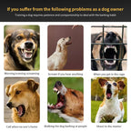 Automatic Anti-Bark Training Collar