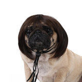 Spoof Wig for Dogs & Cats (Pet Christmas Costume Accessory)