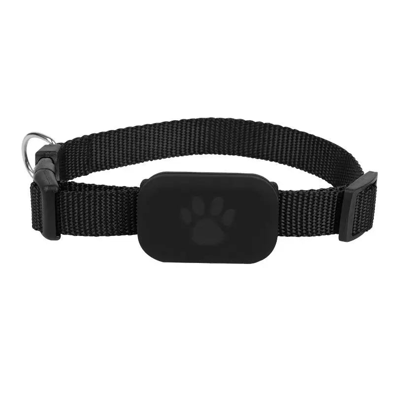 Bluetooth GPS Tracker Collar with Movement Alerts for Cats & Puppies
