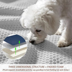 Portable Multi-Function Dog Traction Backpack (Breathable, Easy Clean)