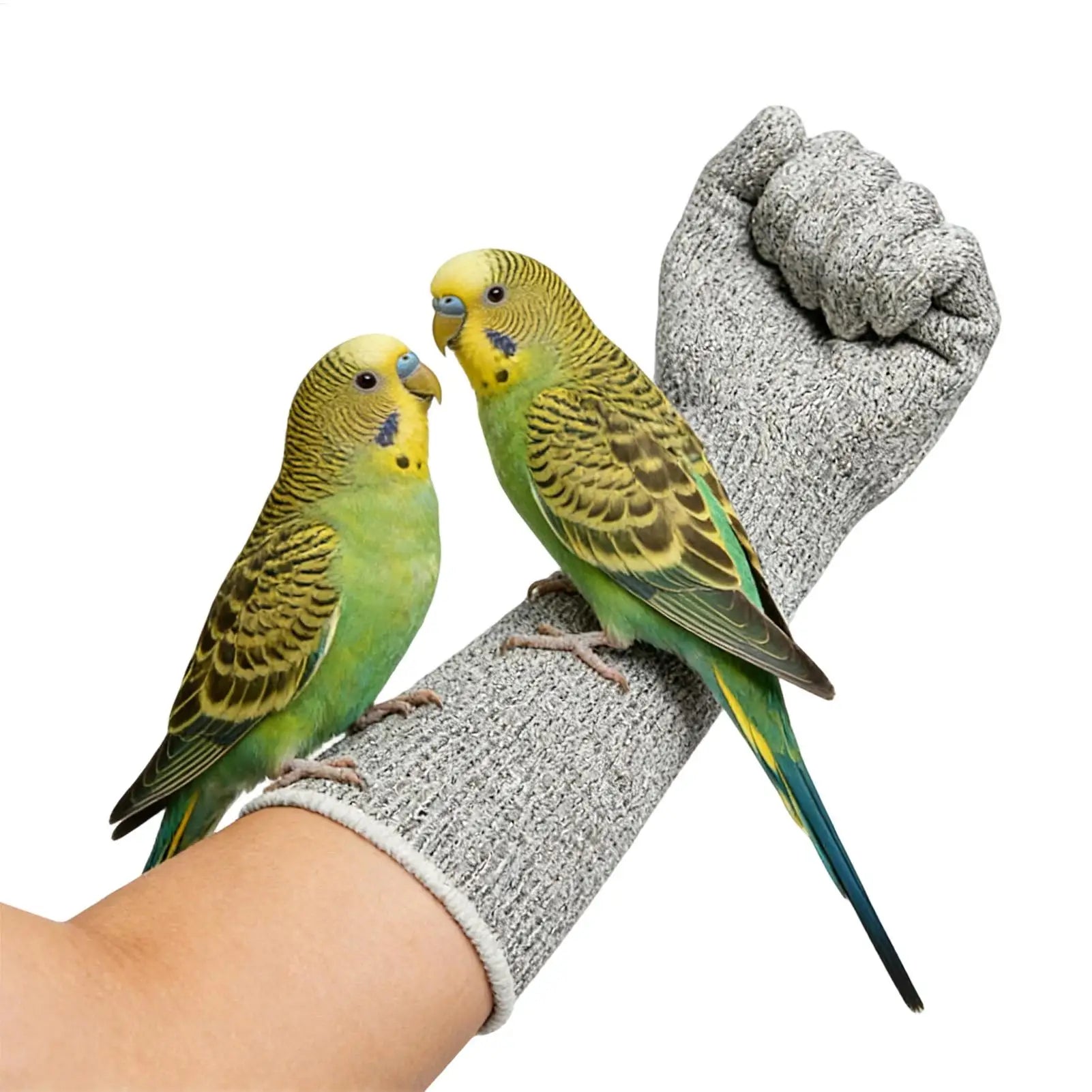 Bite & Scratch-Proof Pet Handling Gloves