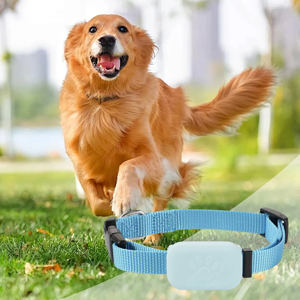 GPS Pet Tracker with Adjustable Collar - Smart Cat & Dog Tracking