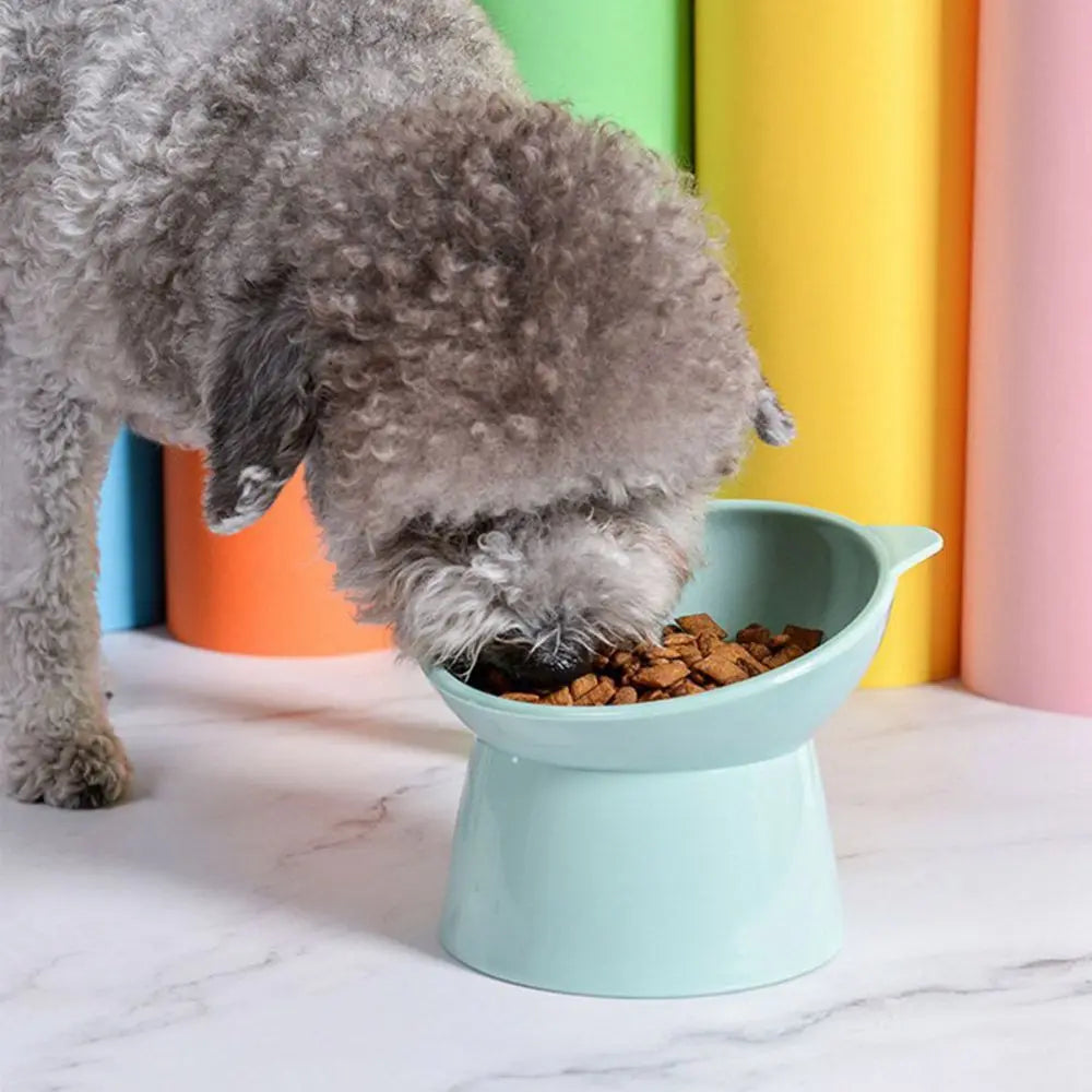 Anti-Overturning Elevated Pet Feeder Bowl (Posture Support, Dogs & Cats)
