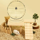 Silent Hamster Running Wheel — Extra-Large Spine-Safe Design