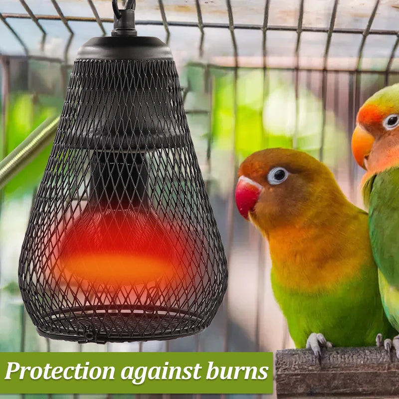 Ceramic Heat Emitter with Protective Cage Guard — All-in-One Reptile Heater