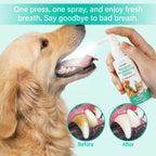 Plant-Based Fresh Breath Spray — No-Brush Tartar & Plaque Remover
