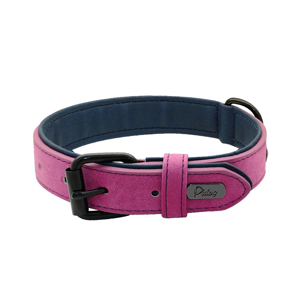 Padded Leather Dog Collar