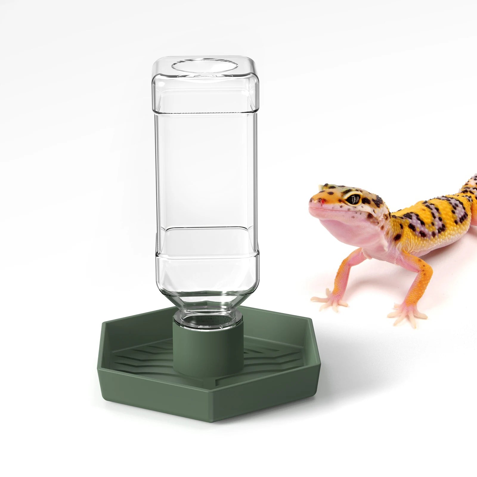 Reptile Water Dish — Sturdy Plastic Bowl for Bearded Dragons & Tortoises