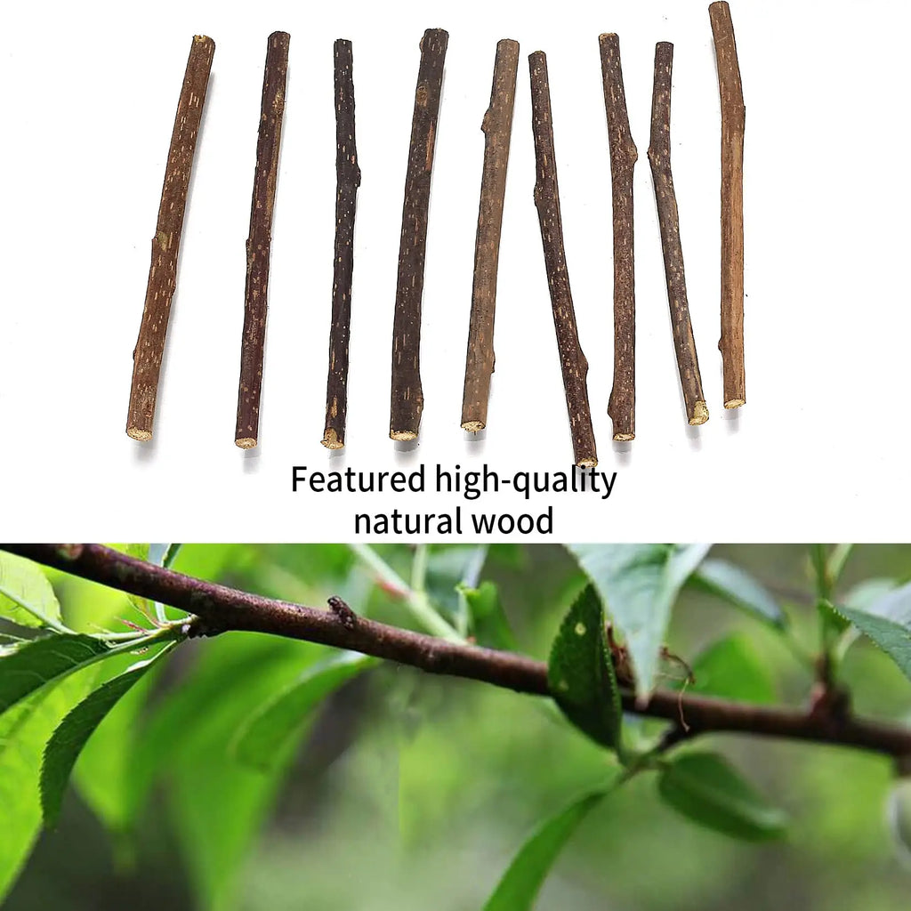 33-Pack Catnip & Silvervine Chew Sticks with 3 Bonus Mouse Toys — Natural Cat Dental Set