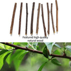 33-Pack Catnip & Silvervine Chew Sticks with 3 Bonus Mouse Toys — Natural Cat Dental Set