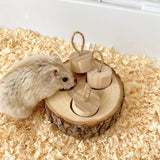 Wooden Foraging Chew Toy — Round Enrichment Toy for Small Pets & Birds