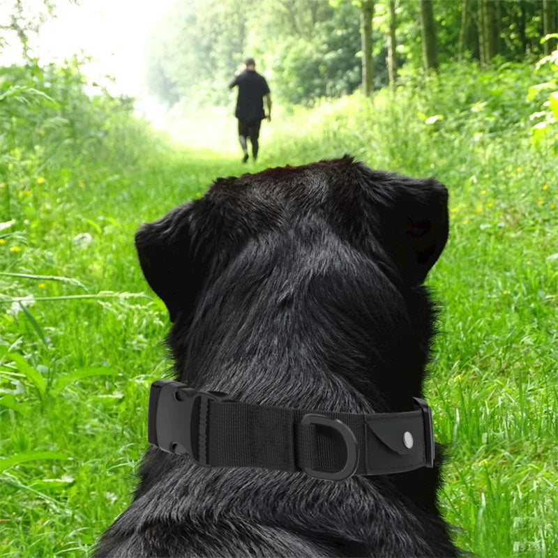 GPS Pet Collar & Leash Locator Set for Dogs & Cats - Nylon Traction Collar with Tracking