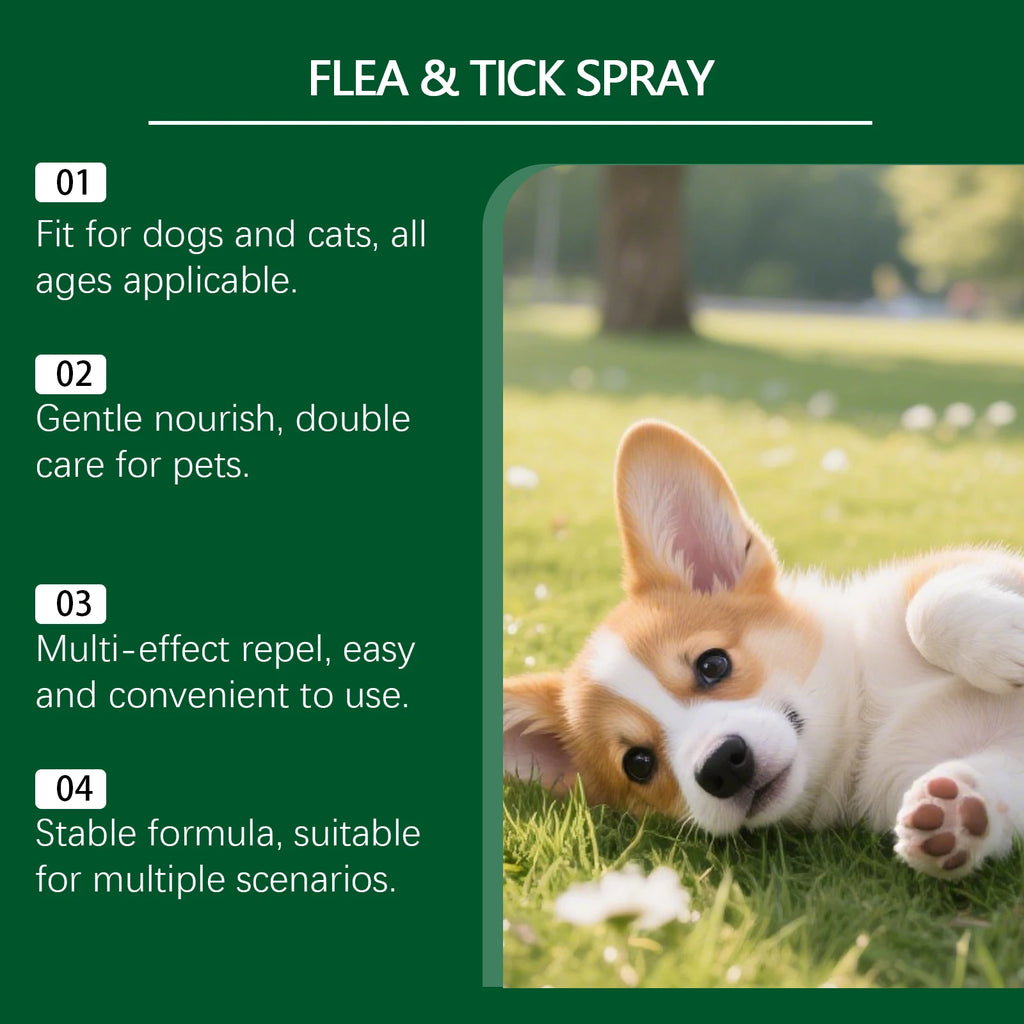 Natural Flea & Tick Repellent Spray — Whole-Body & Home Protection