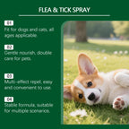 Natural Flea & Tick Repellent Spray — Whole-Body & Home Protection