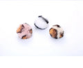 3-Pack Leopard Print Furry Chew Ball Cat Toys — Soft Interactive Teething Balls for Kittens