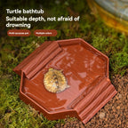 Dual-Use Turtle Bath Basin — Half-Water Habitat & Feeding Box