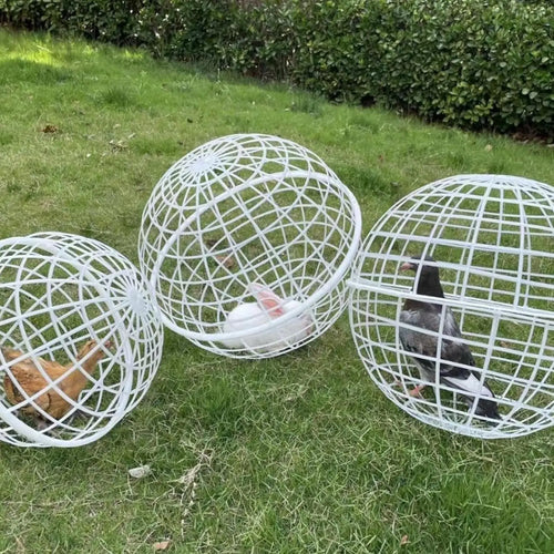 Spherical Rolling Ball Cage — Safe Exercise & Transport Ball for Small Pets