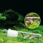 Glass Planarian & Snail Trap for Aquarium — Chemical-Free