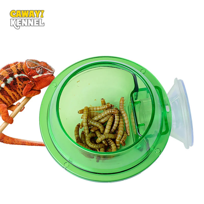 Wall-Mount Arboreal Feeder Bowl — Anti-Escape Suction Cup Dish for Chameleons