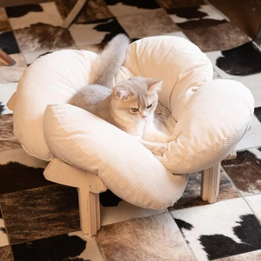 Elevated Wooden Cat Bed with Cushion for Cats & Small Dogs
