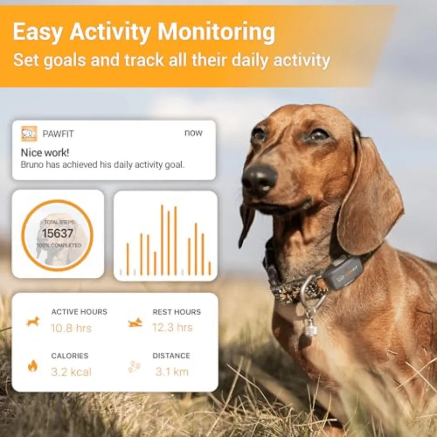 4G GPS Tracker for Small Dogs - Real-Time Tracking with Activity Monitoring (Onyx Black)