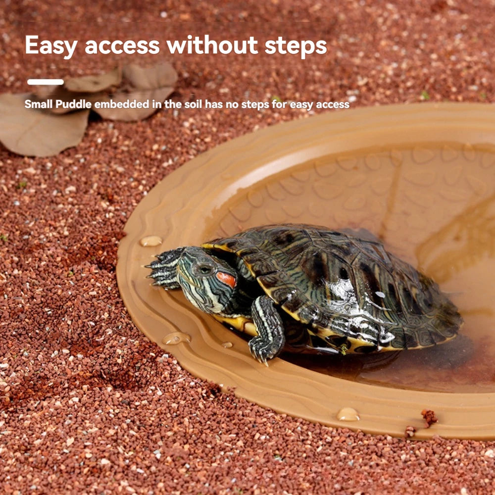 Turtle Bathing Pool & Feeding Dish — Easy-Clean Water Bowl for Box Turtles & Frogs