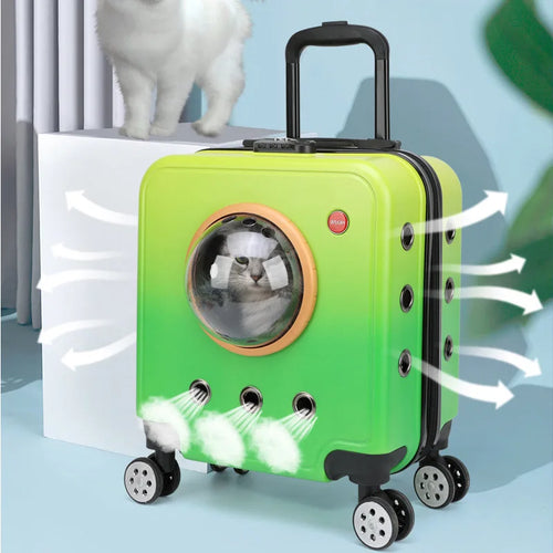 2026 New Pet Outdoor Portable Suitcase Cat Dog Bag, Luggage Compartment, Large Capacity Portable Aviation Suitcase Cat Bag