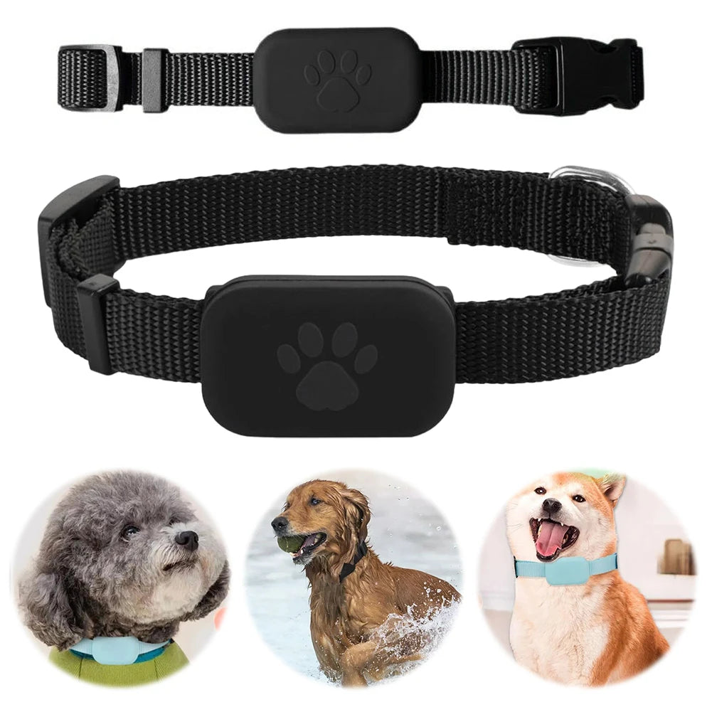 Battery-Powered Waterproof GPS Cat Tracker with Movement Alert - iOS & Android