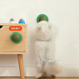 Catnip & Cat Grass Wall-Mount Lick Ball Toy — Stick-On Scratcher & Digestive Treat
