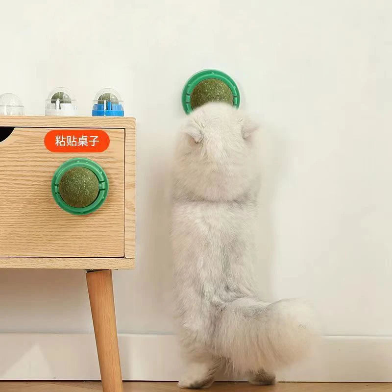 Catnip & Cat Grass Wall-Mount Lick Ball Toy — Stick-On Scratcher & Digestive Treat