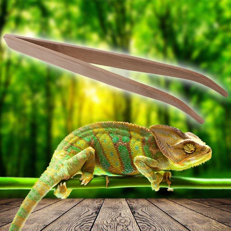 Bamboo Feeding Tweezers for Reptiles — Long-Reach Safe Handling Tool