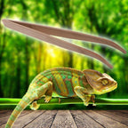 Bamboo Feeding Tweezers for Reptiles — Long-Reach Safe Handling Tool