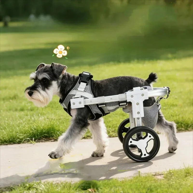 Adjustable Pet Wheelchair Mobility Aid with Wheels for Disabled & Rehabilitating Dogs & Cats