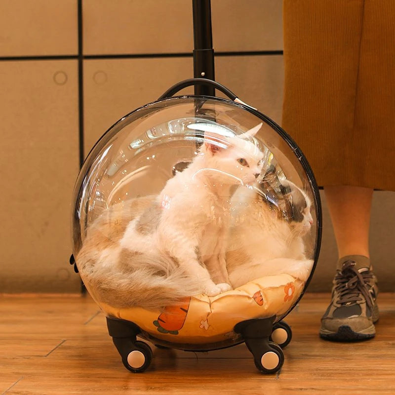 Transparent Breathable Cat Trolley Travel Case & Carrier Bag with Cat Nest for Outdoor Use