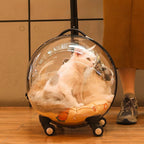 Transparent Breathable Cat Trolley Travel Case & Carrier Bag with Cat Nest for Outdoor Use