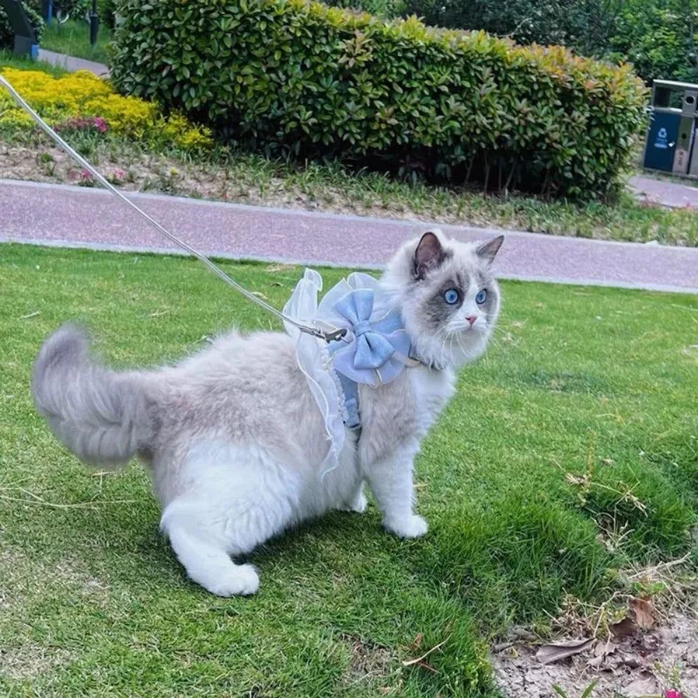 Princess-Style Cat Harness & Leash Set
