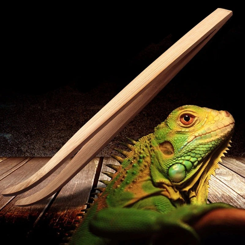 Bamboo Feeding Tweezers for Reptiles — Long-Reach Safe Handling Tool